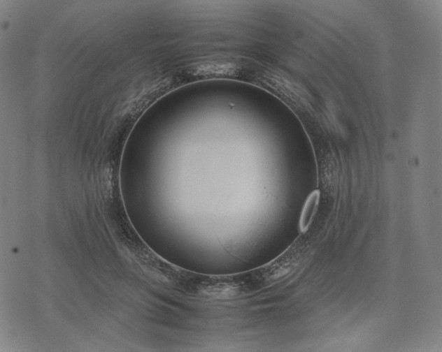 X0000074310551200609011515