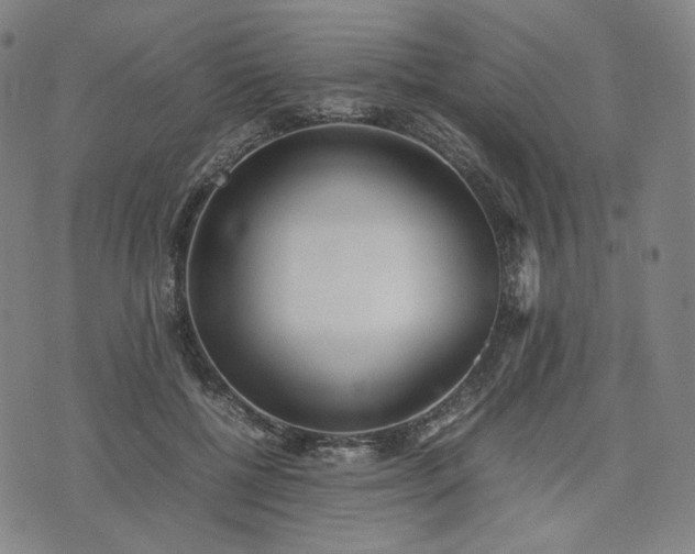 X0000074310552200609011515