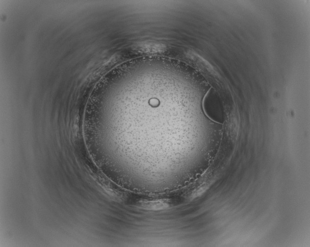 X0000074310553200609011515