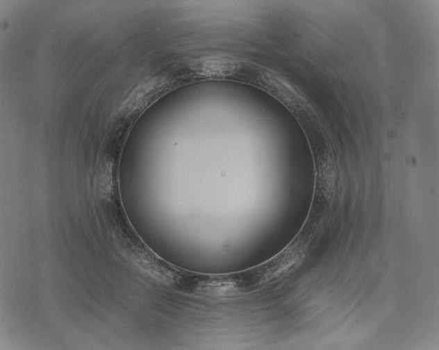 X0000074310554200609011515