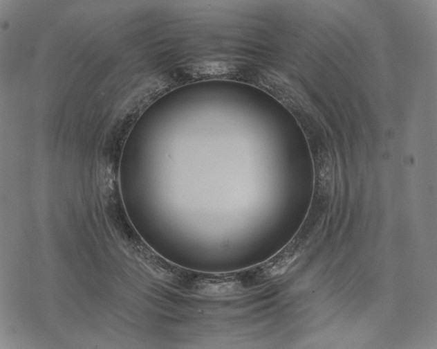 X0000074310555200609011515