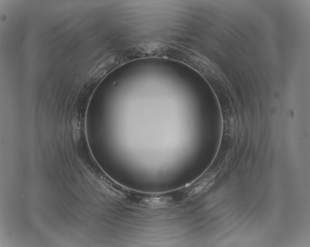 X0000074310558200609011515