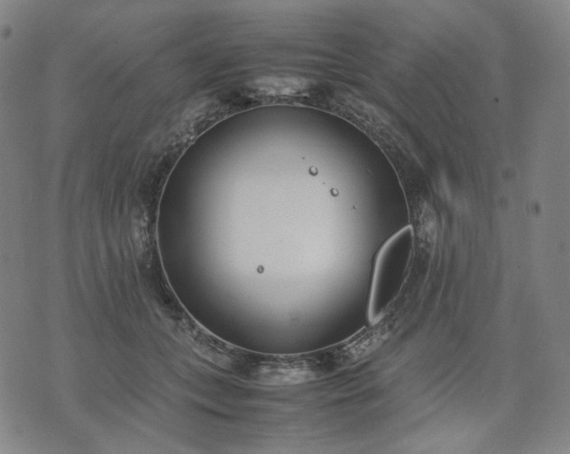 X0000074310559200609011515