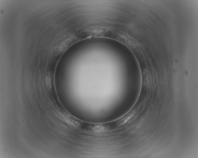 X0000074310562200609011515