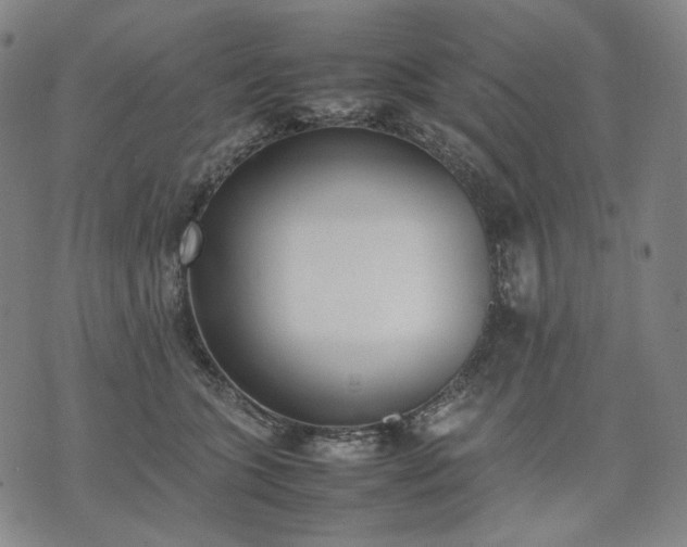 X0000074310563200609011515