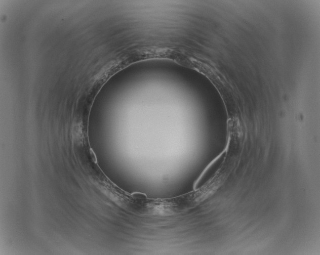 X0000074310564200609011515