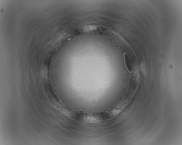 X0000074310565200609011515