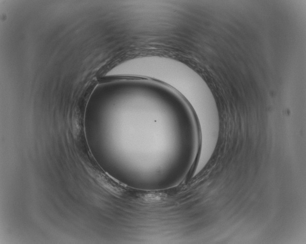 X0000074310566200609011515