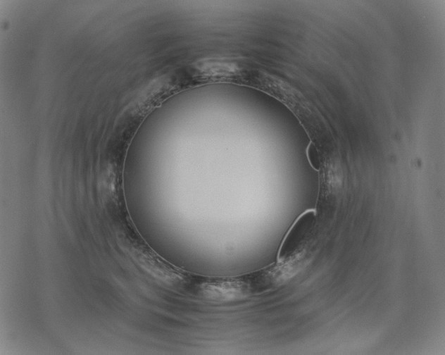 X0000074310567200609011515