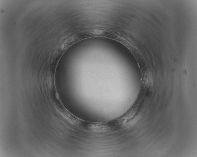 X0000074310568200609011515