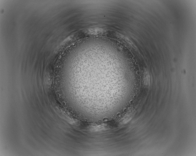 X0000074310569200609011515