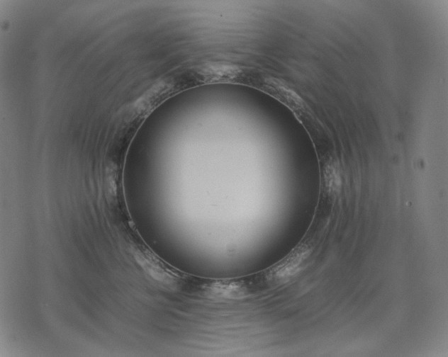 X0000074310570200609011515