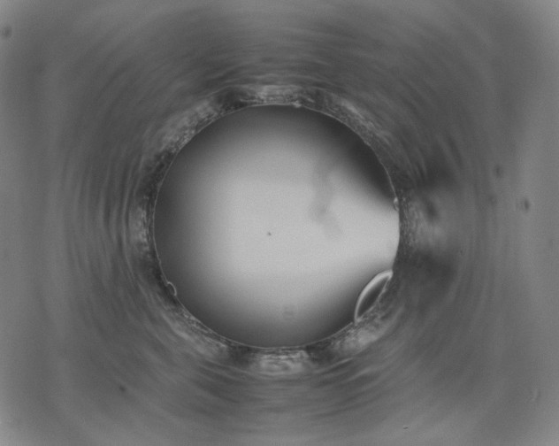 X0000074310571200609011515