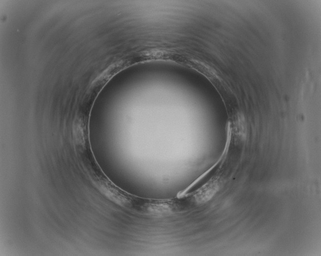 X0000074310572200609011515