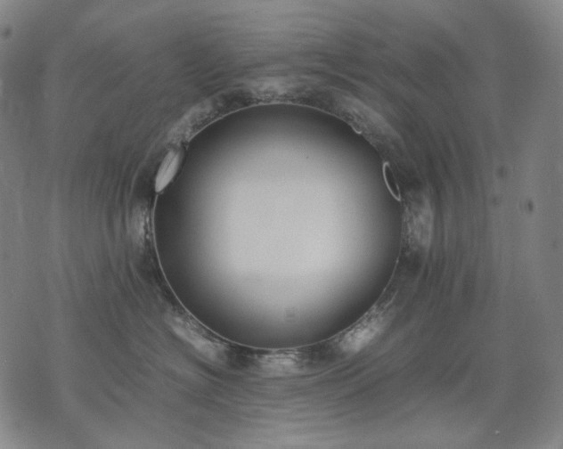 X0000074310574200609011515