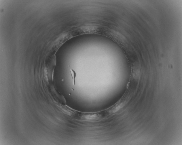 X0000074310575200609011515