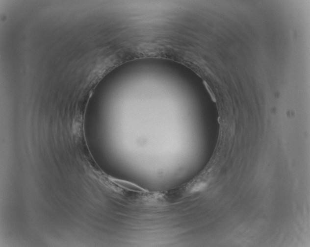 X0000074310576200609011515