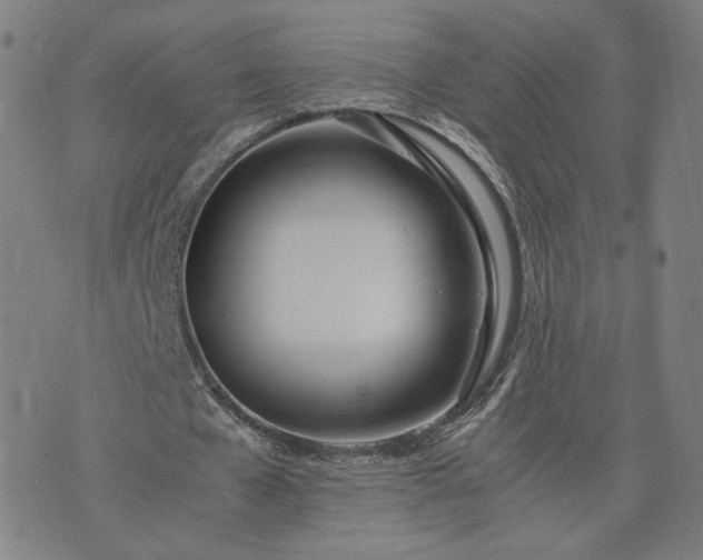 X0000074310577200609011514