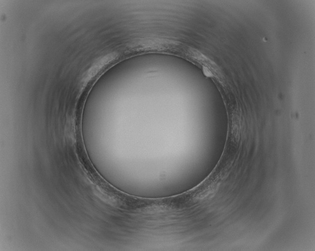 X0000074310578200609011514