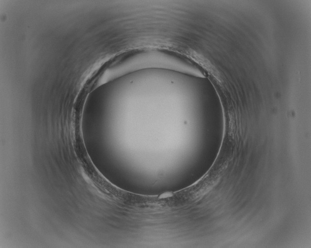 X0000074310580200609011514