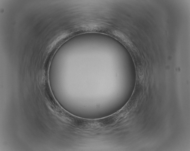 X0000074310583200609011514