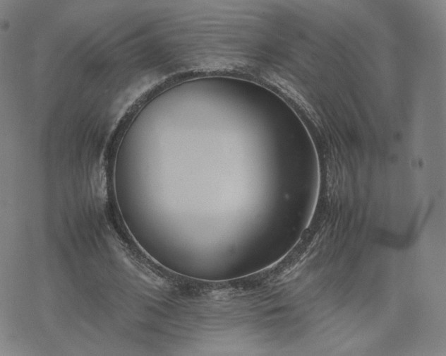 X0000074310584200609011514