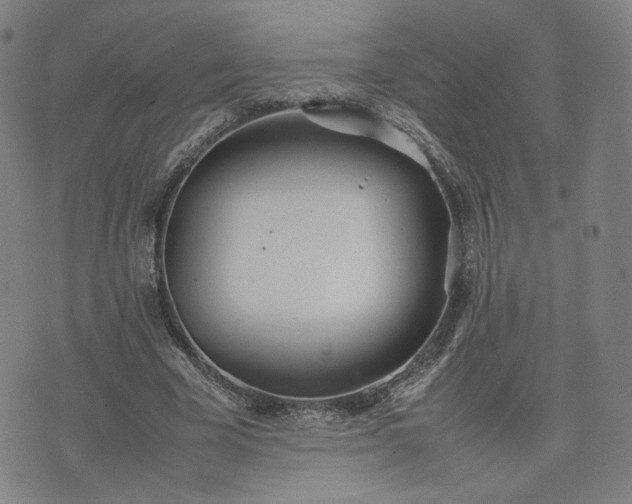 X0000074310585200609011514