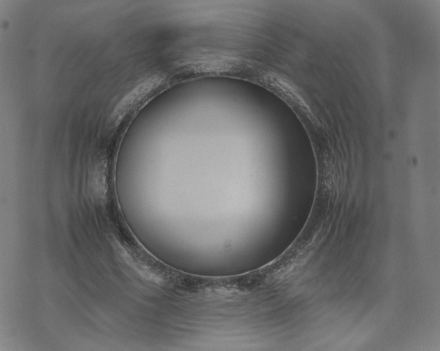 X0000074310586200609011514