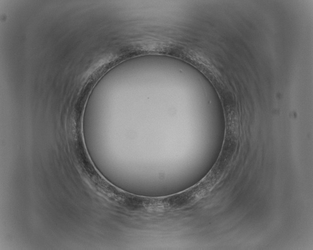 X0000074310587200609011514