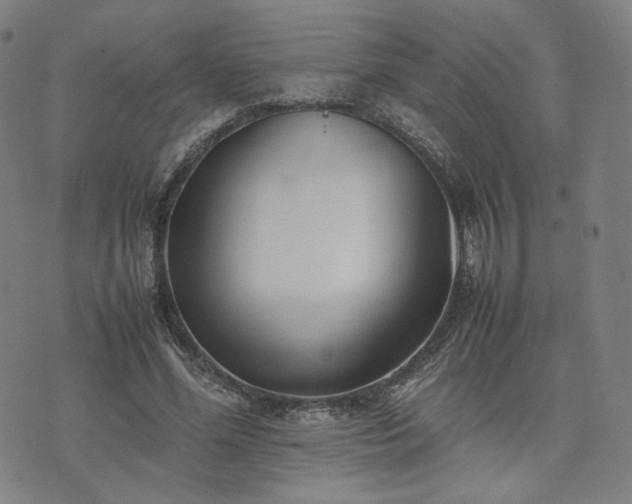 X0000074310588200609011514