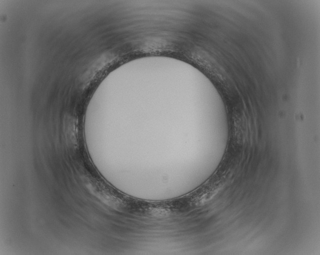 X0000074310592200609011514