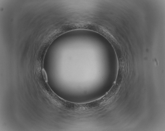 X0000074310593200609011514