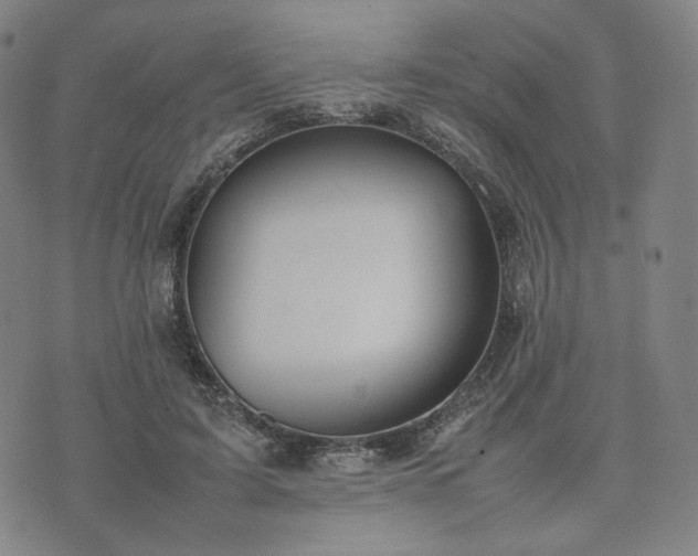 X0000074310595200609011514