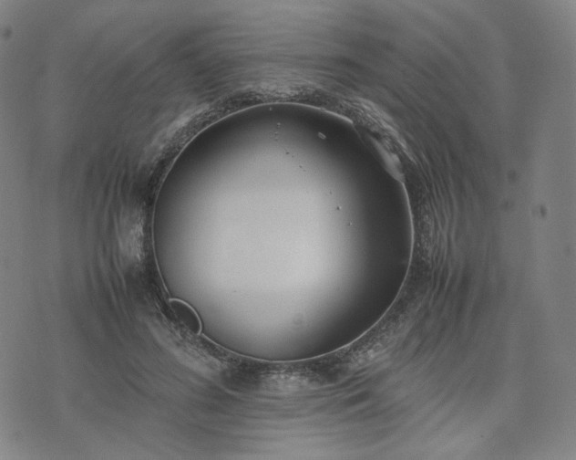 X0000074310596200609011514