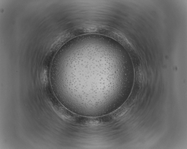 X0000074310598200609011514