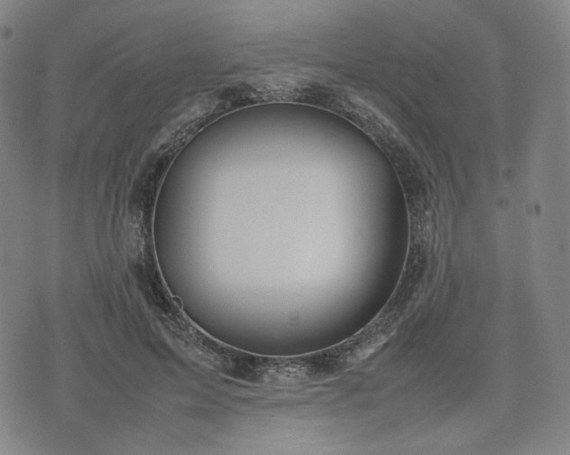 X0000074310599200609011514