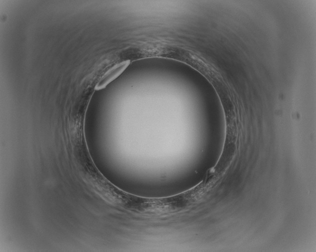 X0000074310601200609011514