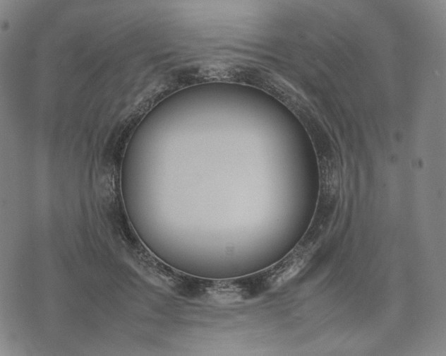 X0000074310603200609011514