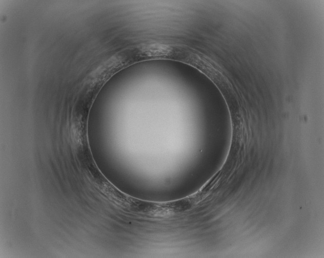 X0000074310604200609011514