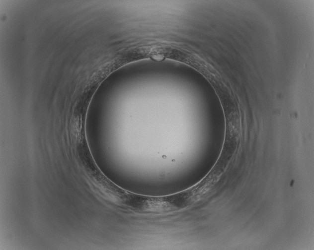 X0000074310605200609011514