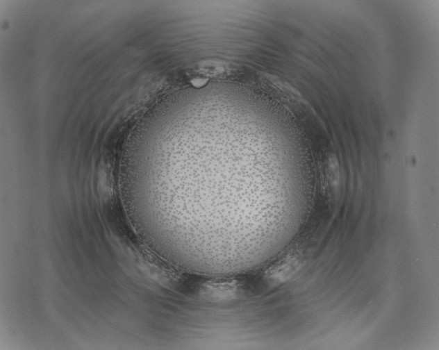 X0000074310606200609011514