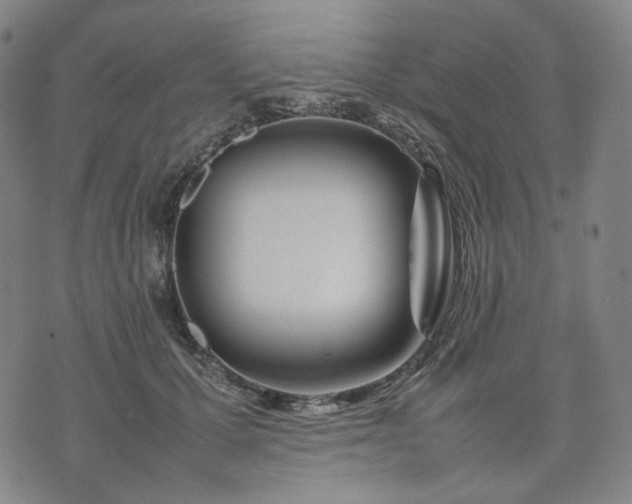 X0000074310607200609011514