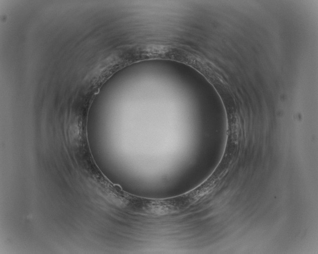 X0000074310608200609011514