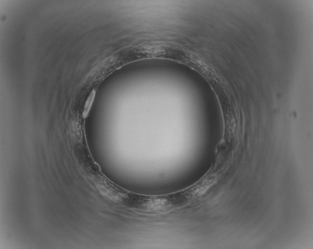 X0000074310609200609011514