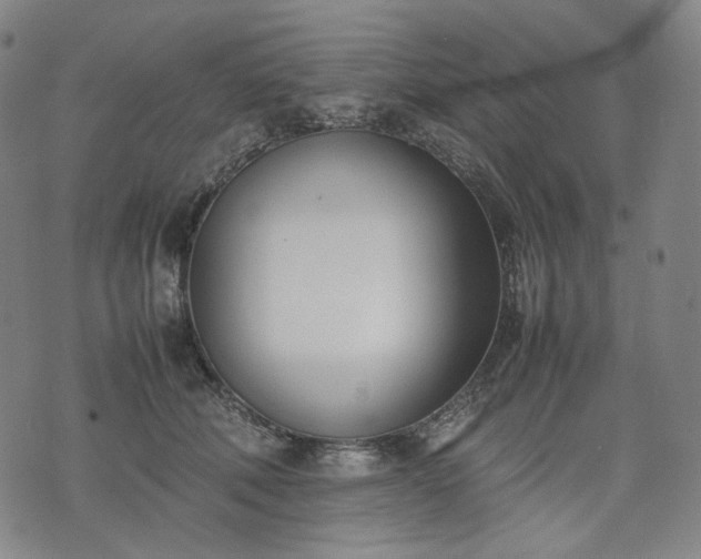 X0000074310610200609011514