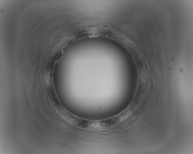 X0000074310611200609011514