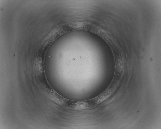 X0000074310612200609011514