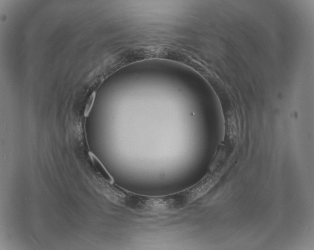 X0000074310613200609011514