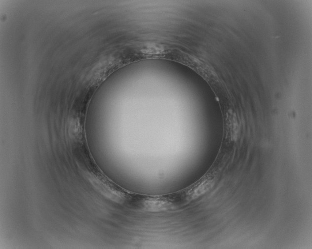 X0000074310614200609011514