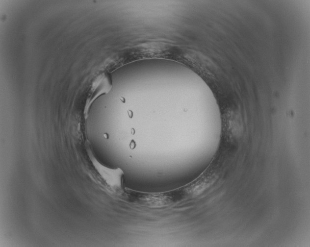 X0000074310615200609011514